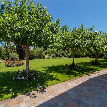 Villa Rodoula In Mystras Sparta Eksteriør billede