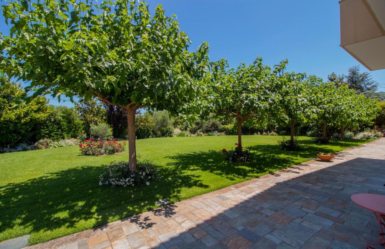 Villa Rodoula In Mystras Sparta Eksteriør billede